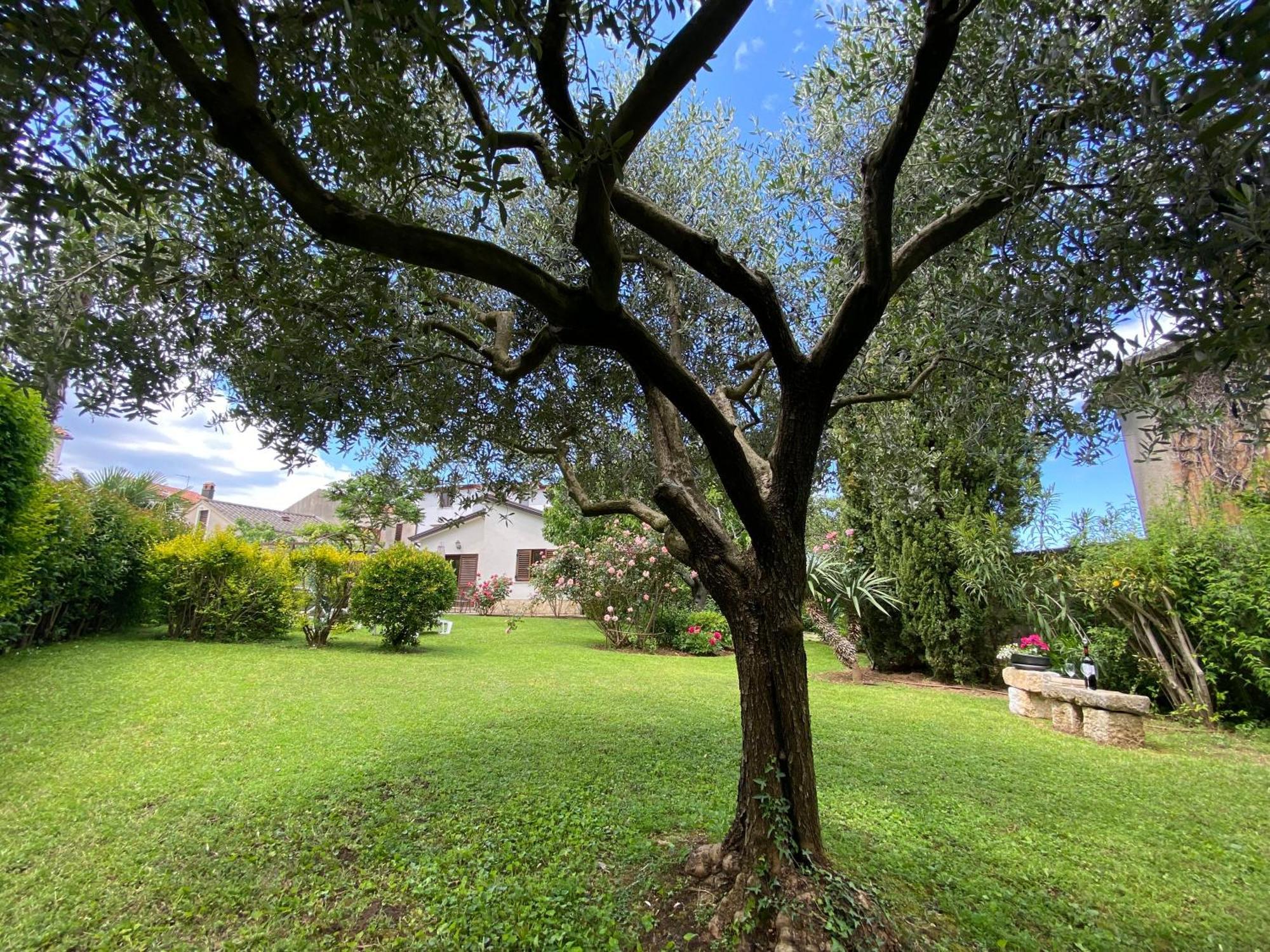 Bungalow Perla Funtana Extérieur photo
